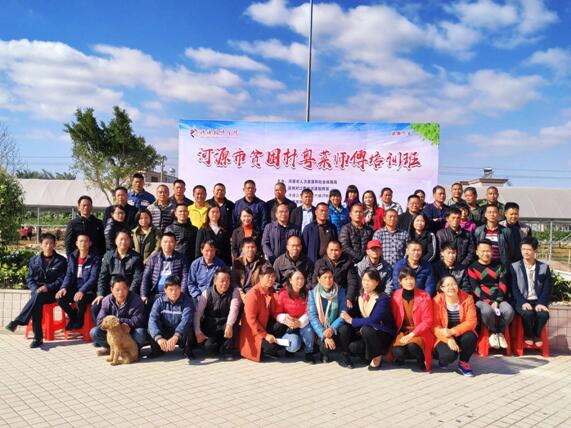 1575862438265543.jpg 31.jpg