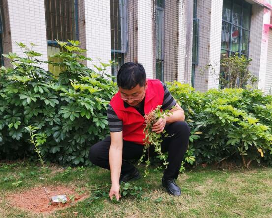 1617151816139543.jpg 2.jpg