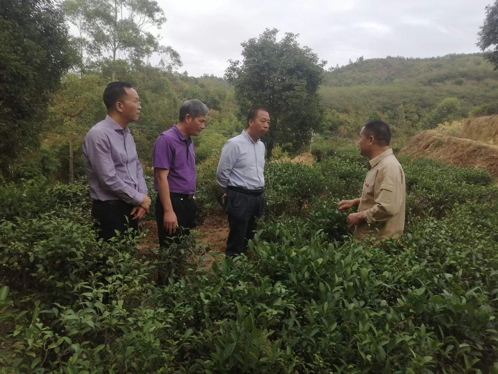 1666251516323878.jpg 1.jpg